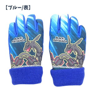  |P XL[O[u XL[ 5{w q LbY Xm[O[u h ObY ct ۈ牀 j̎q ʊw V