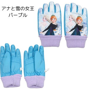  vZX AiƐ̏ ݂R炵 XL[O[u XL[ q LbY 5{w Xm[O[u h ObY ct ۈ牀 wZ ʊw V