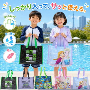 プールバッグ 子供 プールバック 角型 トート ビーチバッグ マインクラフト トイストーリー アナと雪の女王 プリンセス
