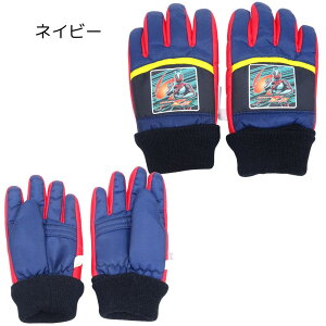  ʃC_[[bc XL[O[u XL[ 5{w Ku q LbY Xm[O[u h ObY ct ۈ牀 j̎q ʊw V