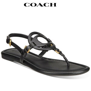 R[` T_ fB[X ؂  uh 傫TCY Coach