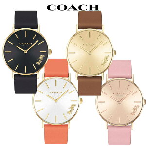 R[` rv fB[X uh v 킢   㕥 COACH Perry y[