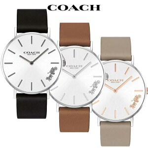 R[` rv fB[X uh v 킢   㕥 COACH Perry y[