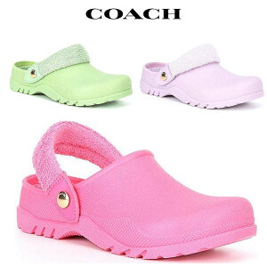 R[` T_ fB[X uh VOl`[ 傫TCY  V[T_ X|[cT_ Coach