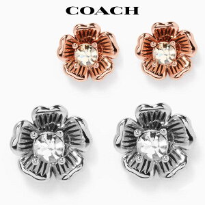 R[` sAX ANZT[ fB[X X^bh   av[g lCuh Coach