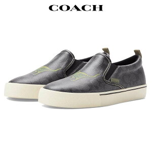 R[` Xb| Y uh 傫TCY C U[  fbLV[Y Coach