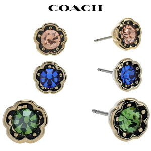 R[` sAX fB[X uh  Ђ܂  20304050 v[g Coach