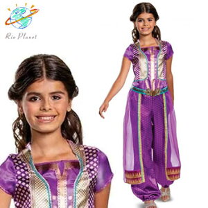 AW WX~  qp ߑ RXv nEB fBYj[ Disney Alladin