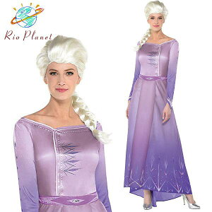 AiƐ̏ 2 GT hX Ai l RXv ߑ  RX`[ Frozen 2