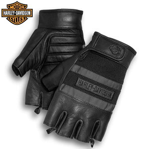 n[[_rbh\ oCN O[u v n[t  wʂ bV 傫TCY Harley Davidson