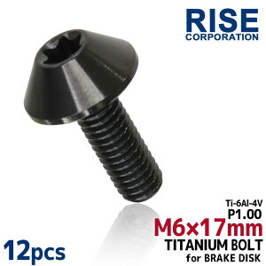 M6×17 P1.00 �`�^���{���g �u���[�L�f�B�X�N�{���g 12�{�Z�b�g 6mm 17mm �s�b�`1.0 �z���_ CBR600 CBR900 CBR929 CBR954 DN01 VFR400 �A�t���J�c�C�� CRF1000L CB1000R CB1300 CB600�z�[�l�b�g CBF1000 CBF1000 CBR1000RR CBR400RR V