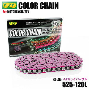 525-120L O�����O �J���[�`�F�[�� ���^���b�N�p�[�v�� �V�[���`�F�[�� GSF400 �o���f�B�b�g GSX400E GSX400FJ GSX400�C���p���X/S GSX400S�� GSX-R600 GSR600 TL600 SV650 SV650S RG400T GSX-R600V GSR600 TL600 SV650 SV650S VL650 XF