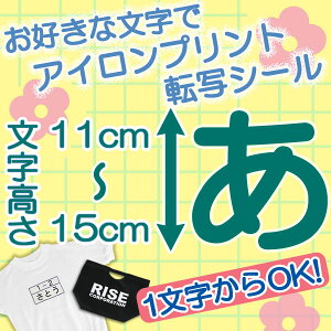 1璍\ȃACV[gII11`15cm Iׂ鏑́AIׂtHgAꕶ璍\ITVcAWp[ȂADAybg V ߘa ߘaN ȂǂɕLg