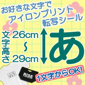 1文字から注文可能なアイロンシート！！26～29cm選べる書体、選べるフォント、一文字から注文可能！Tシャツ、ジャンパー、体操服、名札、ペット服 新元号 令和 令和元年 などに幅広くご使用可能です。