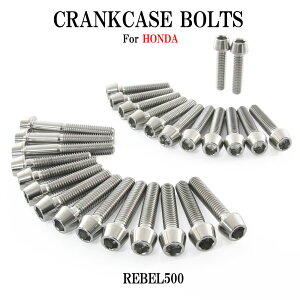 チタンボルト ホンダ レブル500専用 クランクケース エンジンカバー ボルト セット 27本 シルバー 軽量化 カスタム ネジ レストア