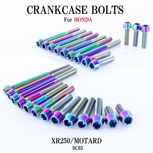 `^{g z_ XR250/^[h MD30p NNP[X GWJo[ {g Zbg 25{ ĂF yʉ JX^ lW XgA