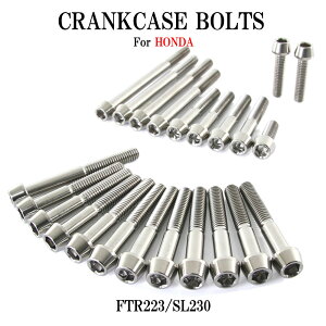 `^{g z_ FTR223/SL230p NNP[X GWJo[ {g Zbg 23{ Vo[ yʉ JX^ lW XgA