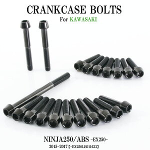 }\SALE `^{g JTL Ninja250/ABSp jW250 EX250 2015-2017(- EX250LE011633) NNP[X GWJo[ 20{ ubN