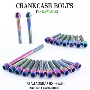 `^{g JTL Ninja250/ABSp jW250 EX250 2015-2017(- EX250LE011633) NNP[X GWJo[ 20{ ĂF