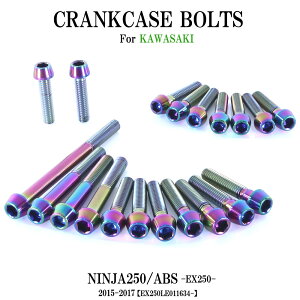 `^{g JTL Ninja250/ABSp jW250 EX250 2015-2017(EX250LE011634 -) NNP[X GWJo[ 20{ ĂF