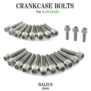 `^{g JTL oIX/2p ZR250 NNP[X GWJo[ {g Zbg 22{ Vo[ yʉ JX^ lW XgA