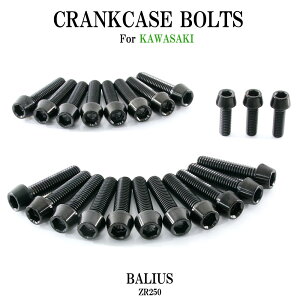 �`�^���{���g �J���T�L �o���I�X/2��p ZR250 �N�����N�P�[�X �G���W���J�o�[ �{���g �Z�b�g 22�{ �u���b�N �y�ʉ� �J�X�^�� �l�W ���X�g�A