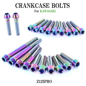 `^{g JTL Z125PROp NNP[X GWJo[ {g Zbg 21{ ĂF yʉ JX^ lW XgA