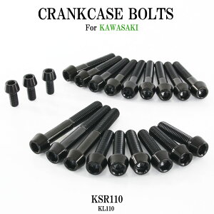 ���労�ӍՁ� �`�^���{���g �J���T�L KSR110��p KL110 �N�����N�P�[�X �G���W���J�o�[ �{���g �Z�b�g 21�{ �u���b�N �y�ʉ� �J�X�^�� �l�W ���X�g�A