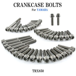 `^{g }n TRX850p NNP[X GWJo[ {g Zbg 37{ Vo[ yʉ JX^ lW XgA