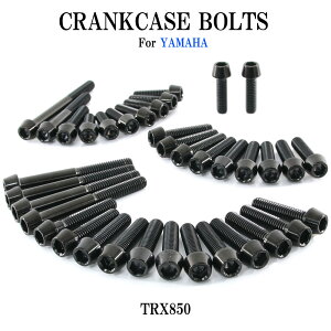 `^{g }n TRX850p NNP[X GWJo[ {g Zbg 37{ ubN yʉ JX^ lW XgA