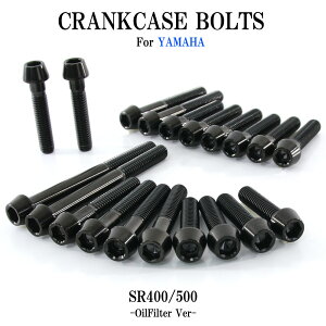 `^{g }n SR400 SR500p NNP[X GWJo[ ICtB^[Jo[ {g Zbg 20{ ubN yʉ JX^ lW XgA