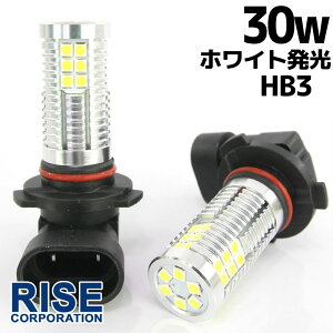 Px 30W LEDou tHOv wbhCg |WV HB3 zCg F 1000lm 30`bv 12V/24VԑΉ ɐ 2Zbg