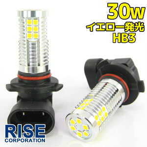 Px 30W LEDou tHOv wbhCg |WV HB3 CG[ F 1000lm 30`bv 12V/24VԑΉ ɐ 2Zbg