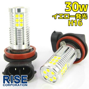 Px 30W LEDou tHOv wbhCg H16 CG[ F 1000lm 30`bv 12V/24VԑΉ ɐ 2Zbg