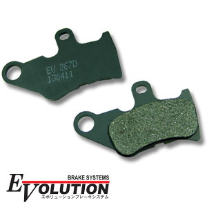 EV-267D u[Lpbh pbg tgp WOJOG Goolstyl ZR Evolution SA16J('01-'02) p[c