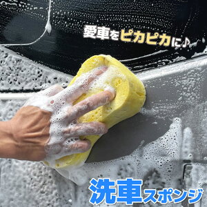 洗車スポンジ ウォッシュスポンジ 吸水力 泡 洗車グッズ 車 バイク オートバイ 大判サイズ 持ちやすい 洗車用品 室内 清掃用具