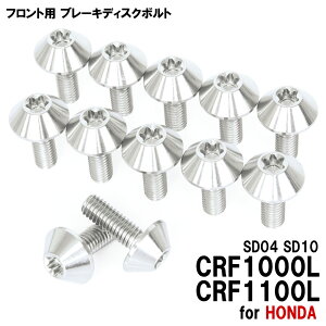 チタンボルト ホンダ CRF1000L CRF1100L SD04 SD10専用 ブレーキディスクボルト フロント用 12本セット M6×17 P1.00 シルバー 軽量化 カスタム ネジ