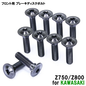 �`�^���{���g �J���T�L Z750/Z800��p �u���[�L�f�B�X�N�{���g �t�����g�p 10�{�Z�b�g M8×30 P1.25 �u���b�N �y�ʉ� �J�X�^�� �l�W