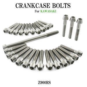 チタンボルト カワサキ Z900RS CAFE SE専用 クランクケース エンジンカバー ボルト セット 27本 シルバー 軽量化 カスタム ネジ レストア