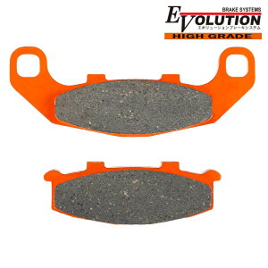 Ninjya250R KR-1S KR1S [t@[400 [t@[550 u[Lpbh EV-430HD G{[V oCNp Z~^pbh  C u[L A