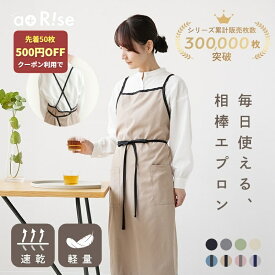 【50枚限定★500円OFFクーポン 9/15 23:59迄】 ＼人気カラー再入荷／ ★楽天1位★ エプロン バッククロス おしゃれ かわいい ナチュラル 北欧 カフェ 韓国 無地 シンプル 保育士 レストラン 美容師 エステ レディース ワークエプロン 送料無料 ギフト プレゼント