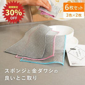 【1000→700円 クーポン利用で 8/23 23:59まで】タワシ シート ワイヤーふきん メッシュクロス たわし 金ダワシ 金たわし キッチンクロス 油汚れ ふきん 油 油汚れクロス 6枚セット キッチン クロス レンジ 食器洗い 除去 磨く 金属ふきん 送料無料 1000円ぽっきり