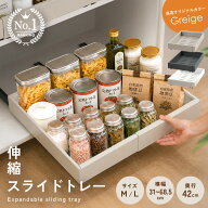 【9/18限定全品10％OFFクーポン♪ライズの日】 ＼伸縮★スライドトレー／シンク下収納 キッチン収納 キッ…
