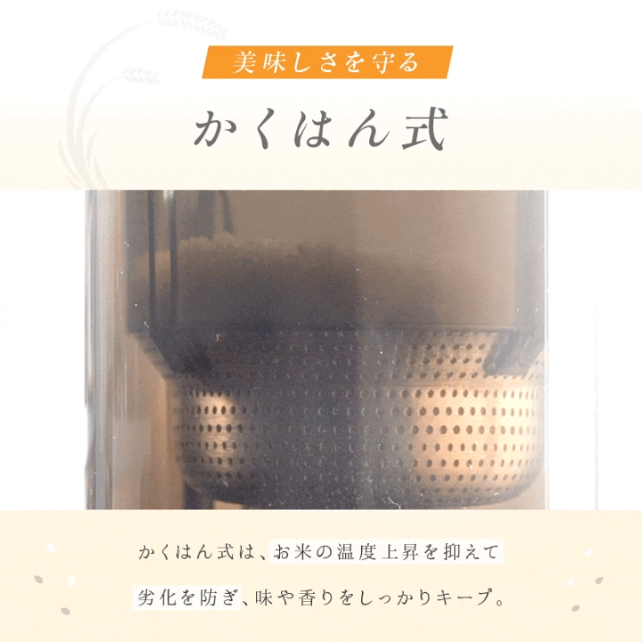 楽天市場】【200枚限定 5000円OFFクーポン☆9/24 01:59迄】 ＼レビュー