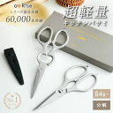 【Sサイズ★新発売】キッチンバサミ 分解 ステンレス キッチンばさみ 食洗機 持ち運び まな板いらず キッチンばさみ 食洗機対応 キッチンハサミ 料理はさみ 食洗器 料理ばさみ オールステンレス