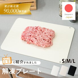 【1000円OFFクーポン★9/24 01:59迄】 ＼ TVで紹介／ 解凍プレート 急速解凍 粗熱取り 解凍皿 解凍板 解凍 プレート 粗熱 正規品 アルミ 肉 ホタテ 解凍まな板 自然解凍プレート 冷凍食品 急速 最速 食品解凍 肉 テレビ 家事ヤロウ