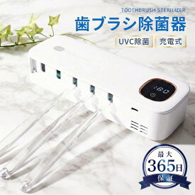 送料無料 楽天1位 歯ブラシ除菌器 歯ブラシ 除菌 壁掛け式 カビ防止 歯ブラシ収納 ケース 静音 USB充電式 uv-c LEDライト ドライ Type-c タイプC 説明書付き 除菌器 歯ブラシスタ