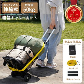 【20時~先着100枚！50％OFFクーポン】＼収納袋・ゴムバンド付／キャリーカート 折りたたみ 軽量 4輪 買い物 台車 軽量 コンパクト ミニ 軽量 キャリーカート キャンプ 買い物 おすすめ 防災 アウトドア 荷物 ゴミ捨て キャスター付き キャリー 折畳み