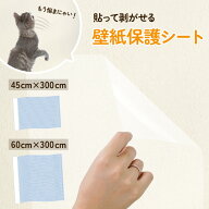 【クリアランス♪10点購入70%OFF 11日1:59迄】壁紙保護シート 猫 はがせる 賃貸OK ちょうどいい粘着力 強…
