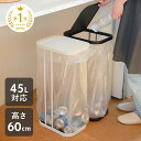 【2点以上購入で★45%OFFクーポン 7/11 1:59迄】ゴミ箱 ごみ箱 45リットル 45L ゴミ袋ホルダー 高さ60cm ふた付き おしゃれ スリム 分別 キッチン リビング ダストボックス 30リットル 30L 20リットル 20L フレーム